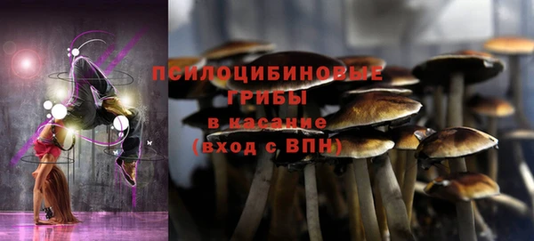 спиды Елизово