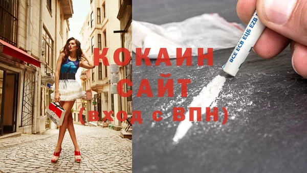 прущие крисы Ельня