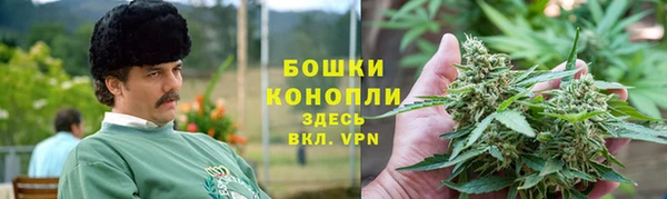 прущие крисы Ельня