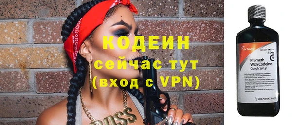 прущие крисы Ельня