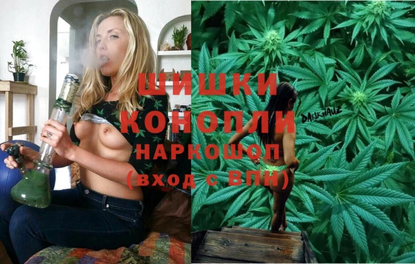 спиды Елизово