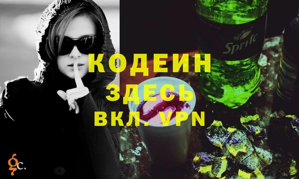 прущие крисы Ельня
