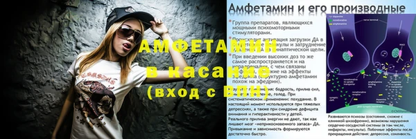 прущие крисы Ельня