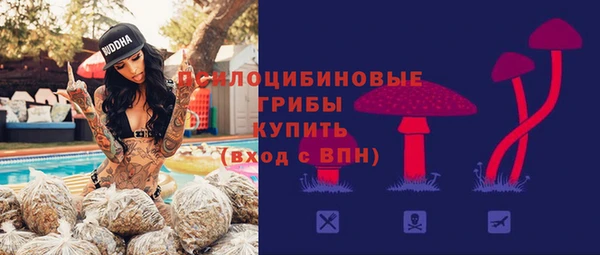 прущие крисы Ельня