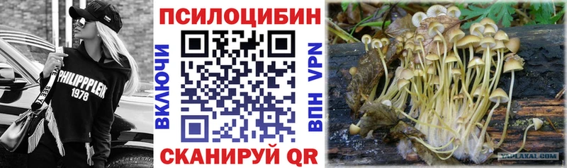 Купить  Зеленодольск  Псилоцибиновые грибы Psilocybe 
